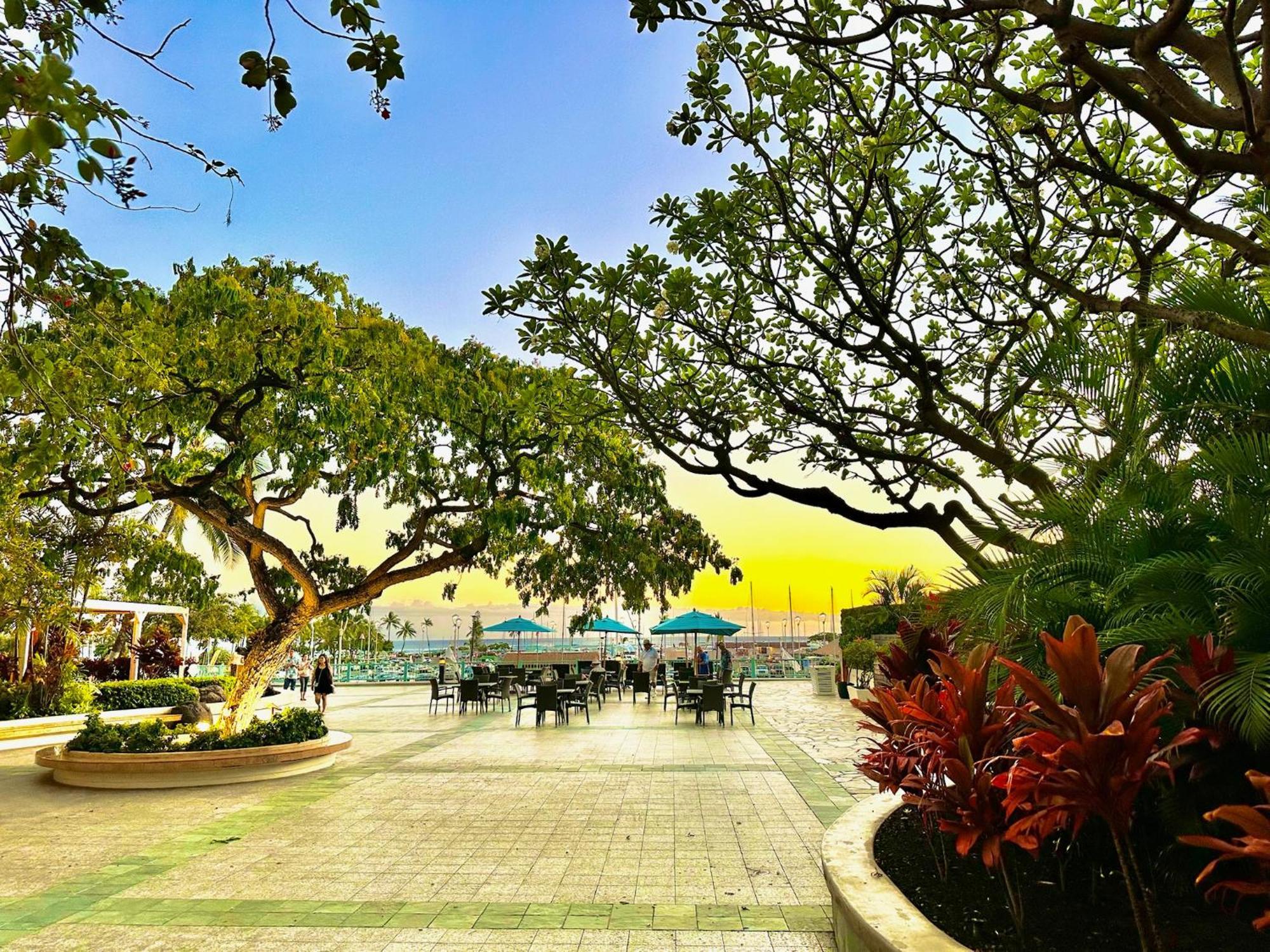 Waikiki Beach Experience! Luxury Oceanview Suite! ホノルル エクステリア 写真